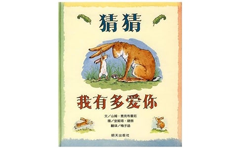 猜猜我有多爱你读后感(精选27篇)