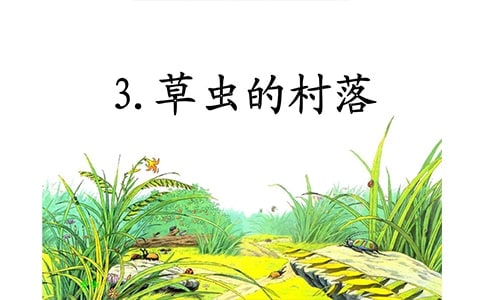 草虫的村落ppt