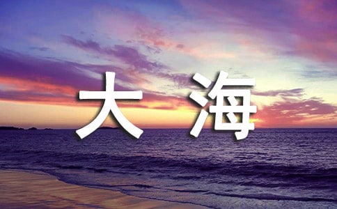 ���ݴ󺣵���������