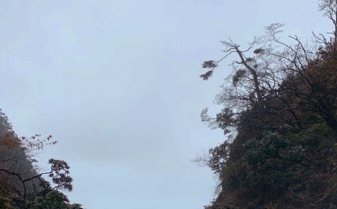 ��üɽ�ľ������