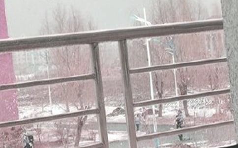��д����ѩ�ĳ���