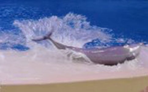 ����ɫ�ĺ��ൺ���Ķ����800��