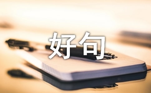 �þ�ö���������300��