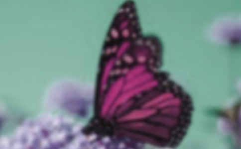 ̨��ĺ����Ƚ̰�