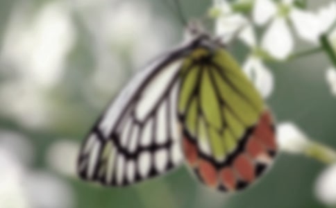 �۲�������ռ�