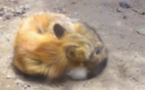 �����Ǯ������з���200��