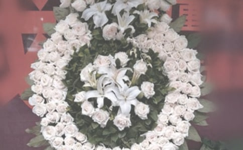 ����үү��үү�˵ľ���100��