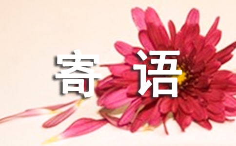 致未来的自己寄语(精选115句)