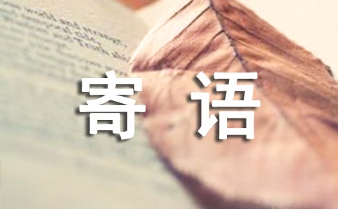 �༶����