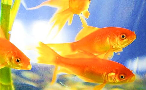 ���ģ�����۲��ռ�