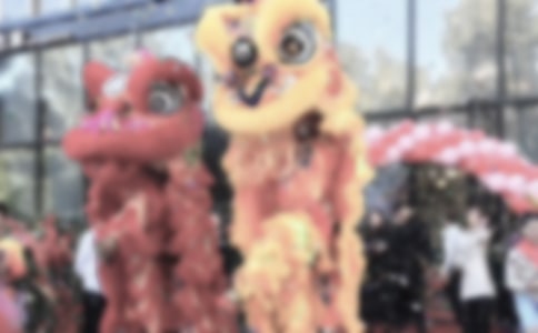 ������˾��ҵ������뺯