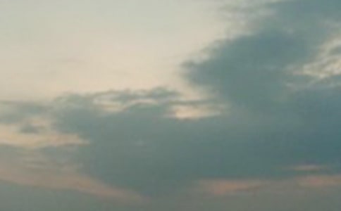 �賿���㣬���¶�������į��־����