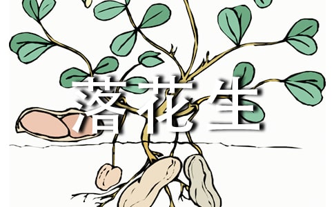 ���仨��������˵�θ壨ͨ��9ƪ��