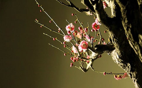 �۲�÷���ռǣ�ͨ��27ƪ��