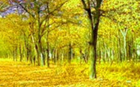 ��������ľ��ӣ���ѡ450�䣩
