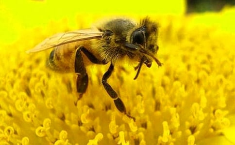 �������͵�С�۷��õ�30������