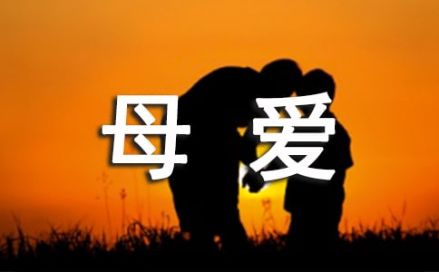 关于母爱的格言