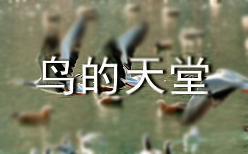 有关写鸟的天堂的导游词