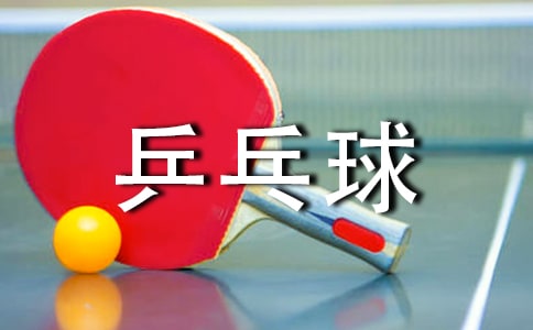 乒乓球底板大揭秘