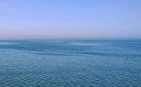 �ӱ��ػʵ��г������ҽ�Ʊ���������