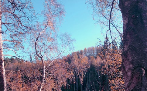 �����ʺ����ѡ180�䣩