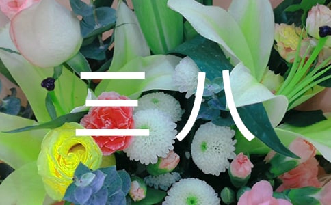 三八红旗手先进个人事迹材料(通用16篇)