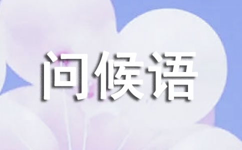 ���������ʺ���