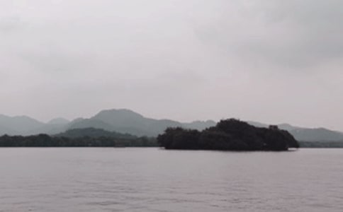 �����ĵ��δʣ���ѡ20ƪ��