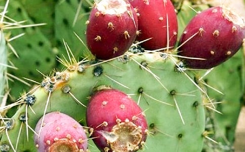 �����Ʒ�����Ȧ�ľ��ӣ���ѡ250�䣩