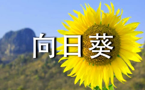 ���տ�����������ϼ�