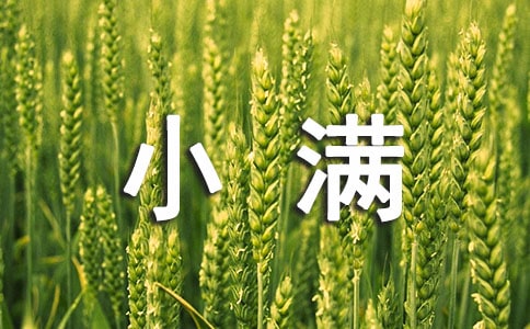 ����С��������Ψ�����ӣ���ѡ140�䣩