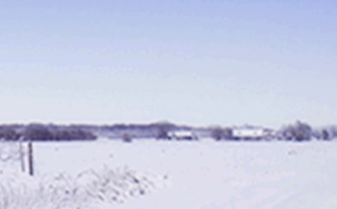 Сѩ����������ʲô��