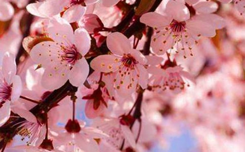 ��дӣ��Ʈ���Ψ�����ӣ�ͨ��200�䣩