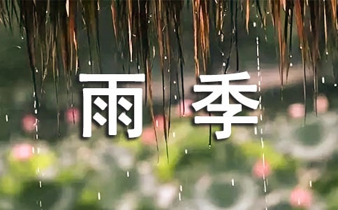 雨季防汛安全应急预案(精选11篇)