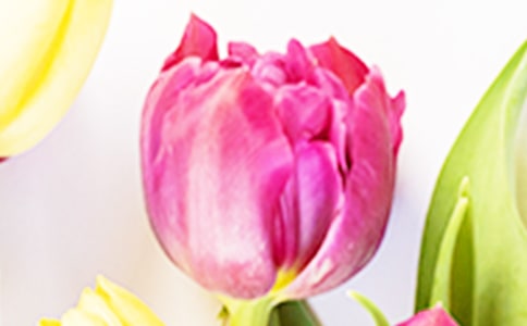 ������ľ��ӣ���ѡ120�䣩