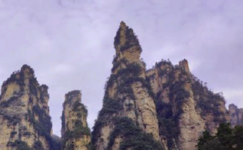 �����żҽ��Լ��ι���