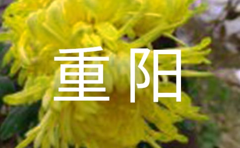 ����������ɽ���ܼǣ���ѡ5ƪ��