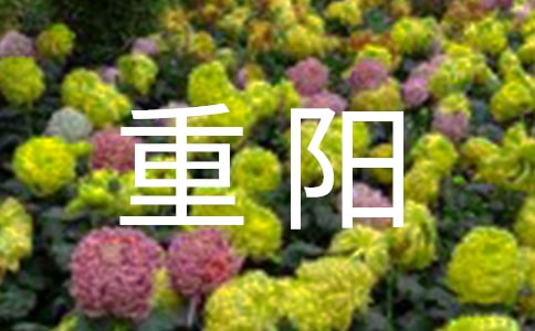�ž������Ǹ߾���230��