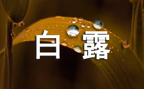 �ʺϰ�¶����˵˵
