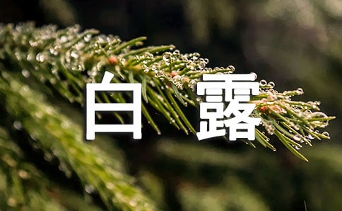 经典白露节气祝福说说