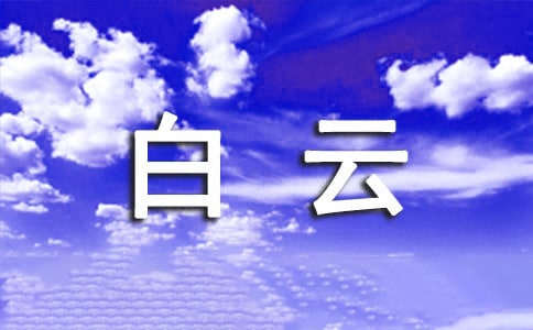 个人工作总结及自评
