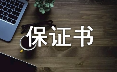 大型活动安全保证书
