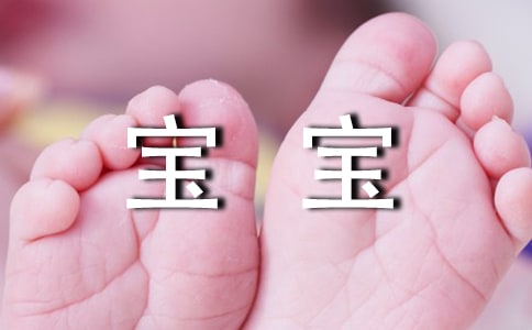 小班语言教案宝宝爱洞洞
