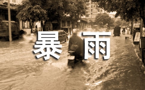 暴雨受灾补助申请书(经典)