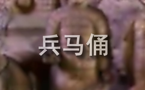 观秦始皇兵马俑有感7篇