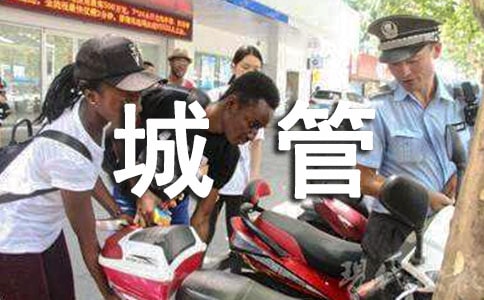 城管年度个人工作总结
