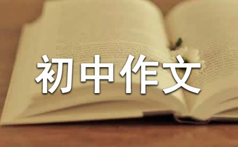 初中作文红楼梦读后感