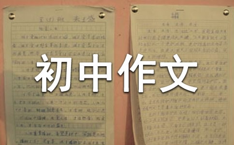 这天,我回家晚了初中作文