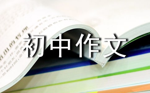 三国演义读后感900字初中作文