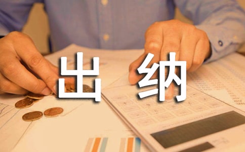 出纳个人工作总结(精品)